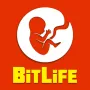 BitLife is a simulation game that is built on text. You can decide everything about your life here, from being born to dying. Each choice will result in a unique and unpredictable life tale.