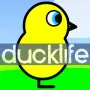 Duck Life is an incredible adventure and training game where you may farm and race ducks. The game begins with a tornado demolishing your farm, leaving behind a duck egg... Develop this duck to generate revenue and rehabilitate the farm.